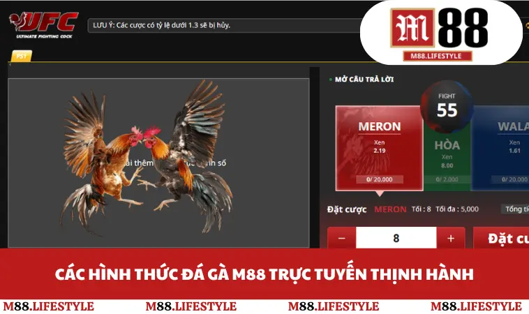 Các hình thức đá gà M88 trực tuyến thịnh hành
