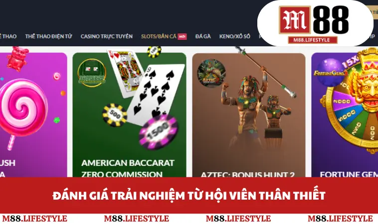 Đánh giá trải nghiệm từ hội viên thân thiết