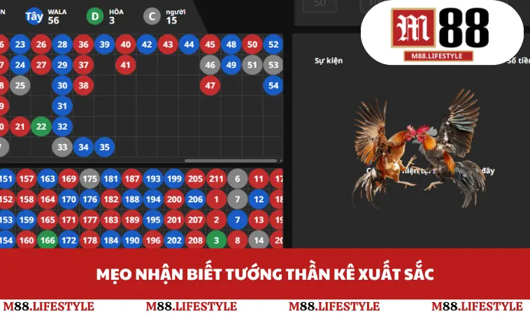 Mẹo nhận biết tướng thần kê xuất sắc