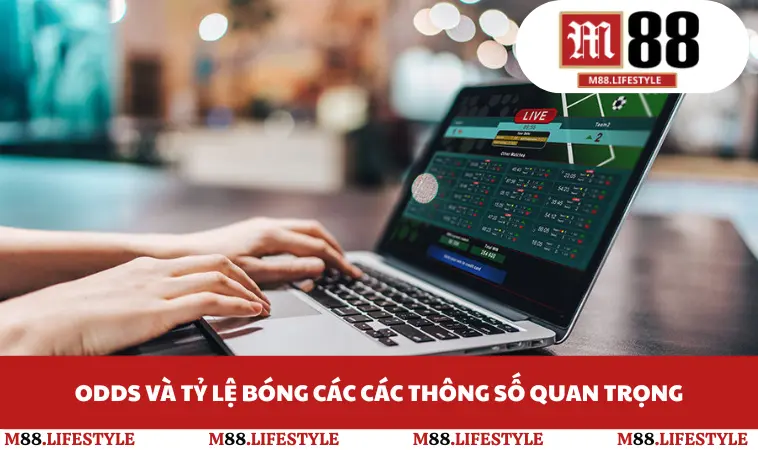Odds và tỷ lệ bóng các các thông số quan trọng